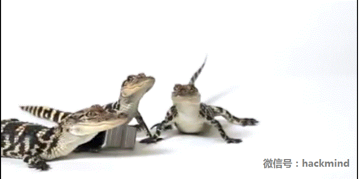 城里人真會(huì)玩，用鱷魚、穿山甲來評(píng)測(cè)Apple Watch 