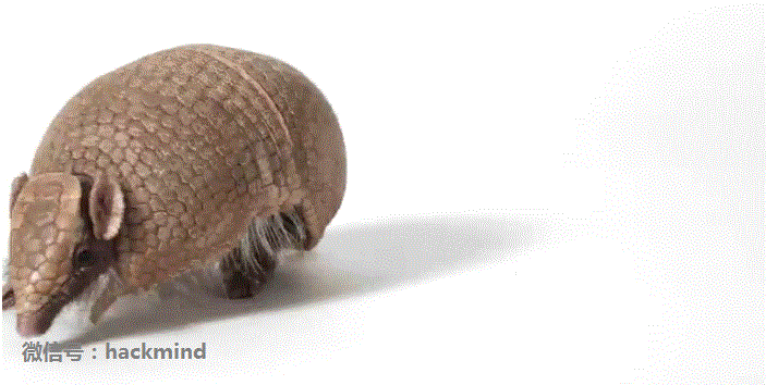 城里人真會(huì)玩，用鱷魚、穿山甲來評(píng)測(cè)Apple Watch 